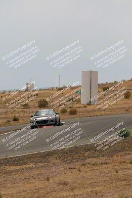 media/May-03-2025-Lucky Dog Racing (Sat) [[206de64b9d]]/Turn 6 (150pm-230pm)/